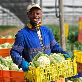 Fingi Chenga - Wikifarmer Fingi Chenga